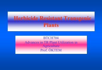 Herbicide Resistant Transgenic Plants