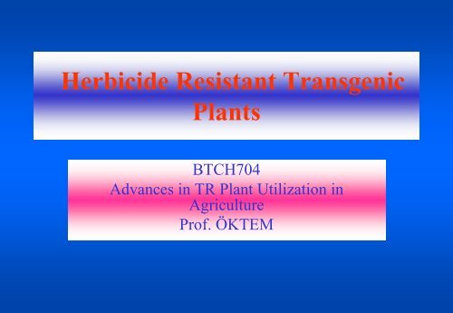 Herbicide Resistant Transgenic Plants