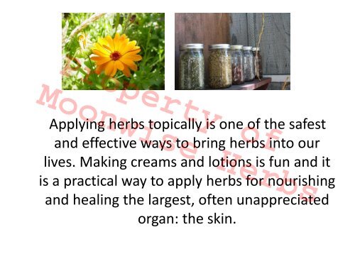 Herbal Creams and Lotions - Moonwise Herbs