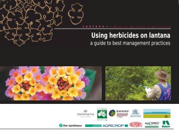 Using herbicides on lantana (PDF 704KB)