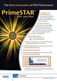 dna polymerases scientifix