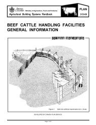 Beef Cattle Handling Facilities Generel Information - Ministry of ...