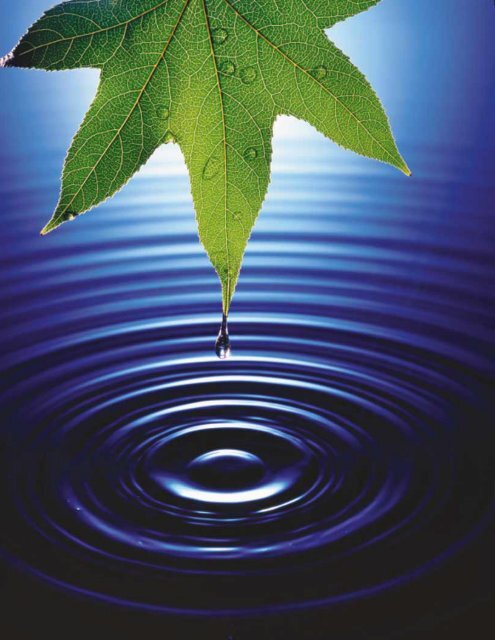 15 • Oscillatory Motion - ECHSPhysics