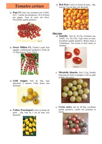 Tomates cerises - Petitluberon.com