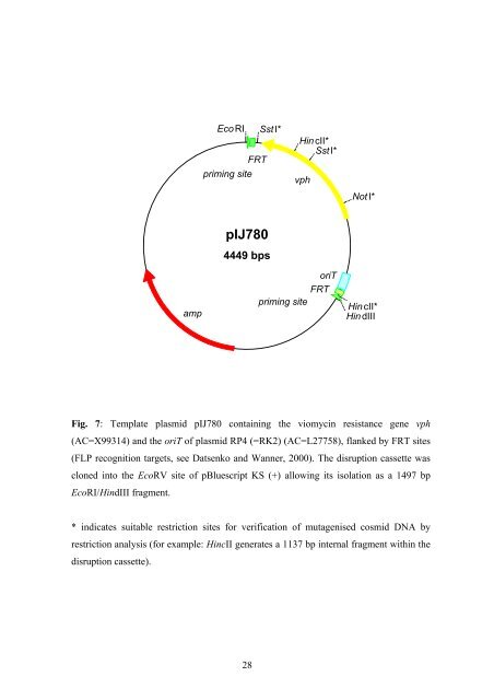 PCR targeting system in Streptomyces coelicolor ... - Streptomyces UK