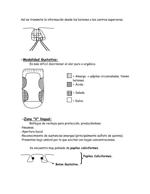 Gusto y olfato 2 - radiodent