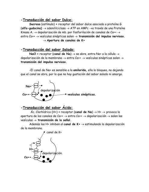 Gusto y olfato 2 - radiodent