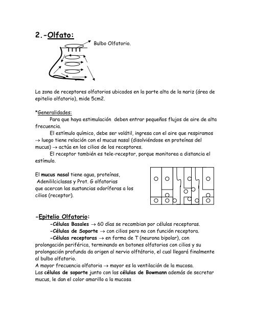 Gusto y olfato 2 - radiodent