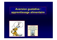 Aversion gustative : apprentissage alimentaire