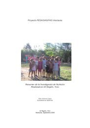 Proyecto PESA/SAG/FAO Honduras Resumen de la Investigación ...
