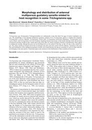 Morphology and distribution of antennal multiporous gustatory ...