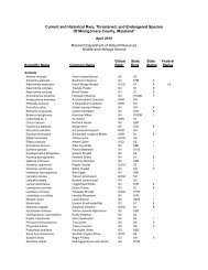 Current and Historical Rare, Threatened, and Endangered Species