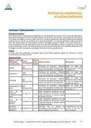 Gestion du Carpocapse et autres tordeuses - Chambre d'Agriculture ...