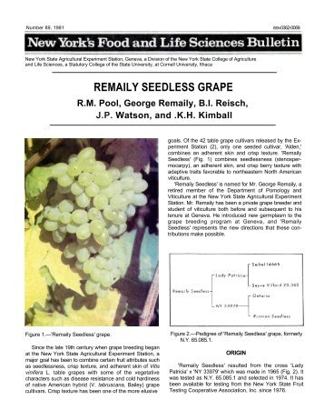 REMAILY SEEDLESS GRAPE - Cornell University