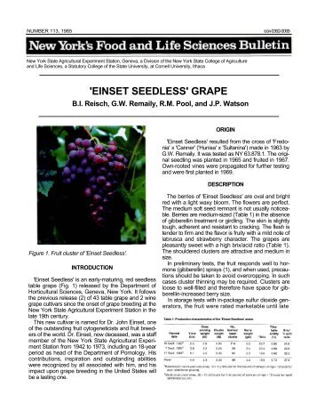 'EINSET SEEDLESS' GRAPE - Horticulture - Cornell University