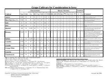 Grape Cultivars for Consideration in Iowa - Viticulture Iowa State ...