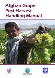 Afghan Grape Post-Harvest Handling Manual, Jan ... - Roots of Peace