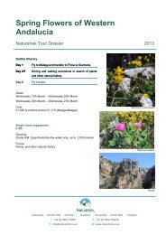 Spring Flowers of Western Andalucia - Naturetrek