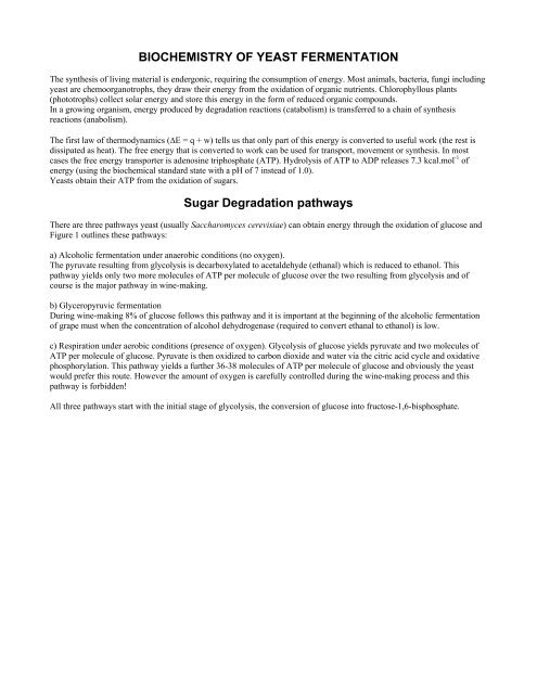 BIOCHEMISTRY OF YEAST FERMENTATION Sugar ... - People