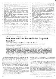 Leaf Area and Fruit Size on Girdled Grapefruit Branches1