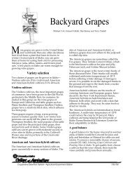 Grow Your Own Backyard Grapes - University of Idaho