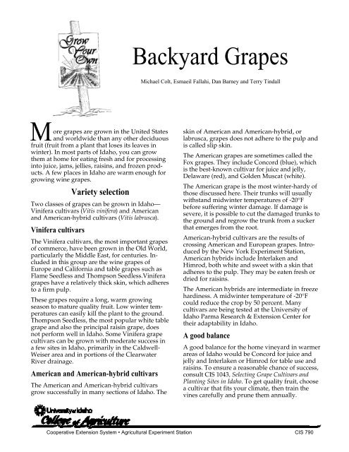 Grow Your Own Backyard Grapes - University of Idaho