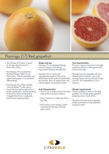 Flamingo (17) Red grapefruit - Citrogold