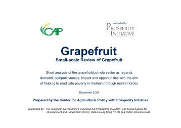 Grapefruit/Pomelo - Small Scale Report - Prosperity Initiative