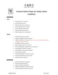 Common Native Plants for Shady Garden Conditions