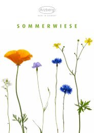 Sommerwiese - Arzberg Porzellan GmbH