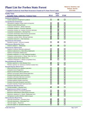 Plant List for Forbes State Forest