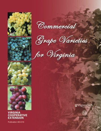 Commercial Grape Varieties for Virginia - Publications and ...