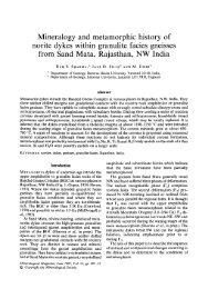 Mineralogy and metamorphic history of norite dykes within granulite ...