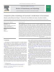 Comparative pollen morphology and taxonomic ... - CNCFlora