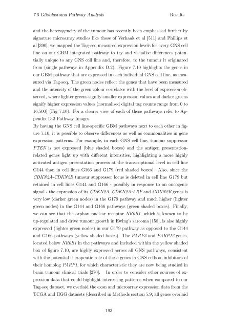 Transcriptional Characterization of Glioma Neural Stem Cells Diva ...