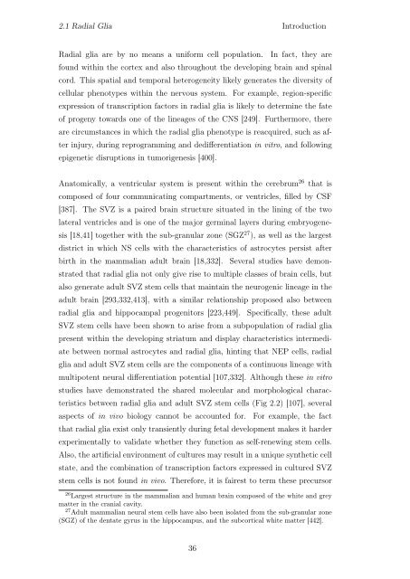 Transcriptional Characterization of Glioma Neural Stem Cells Diva ...