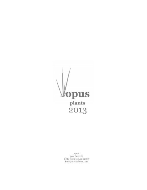 Opus Plants 2013 plant list