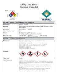 Safety Data Sheet LPG