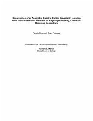 Construction of an Anaerobic Gassing Station to ... - Elmhurst College