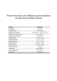 Flower formulas for different plant families, mostly from Middle Russia