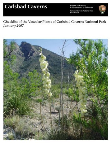 Carlsbad Caverns - National Park Service