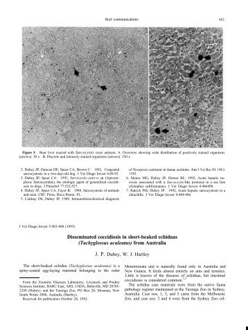 Disseminated coccidiosis in short-beaked echidnas (Tachyglossus ...