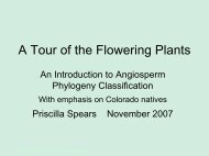 [PDF] A Tour of the Flowering Plants - Colorado Native Plant Society