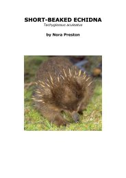 by Nora Preston - Fourth Crossing Wildlife