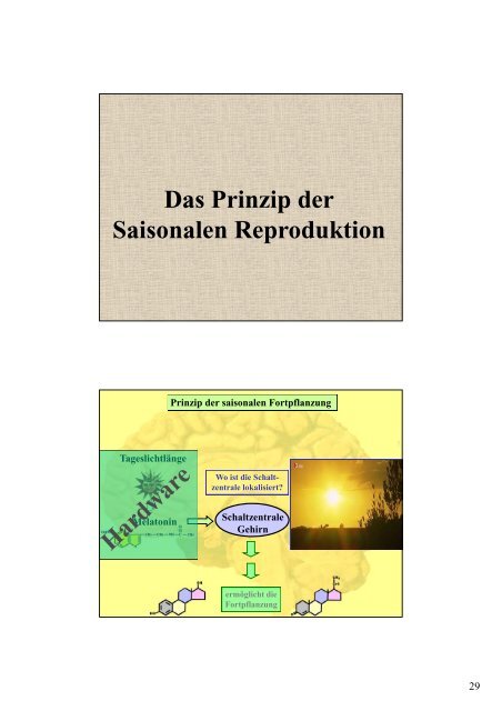 Multifaktorielle Ursachen des weltweiten Artensterbens