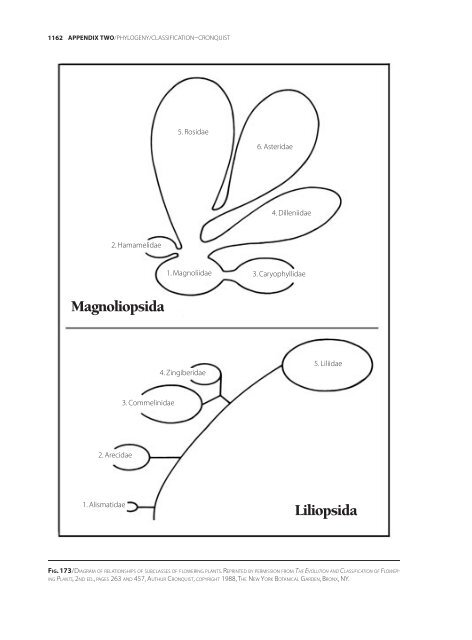 Appendices & Glossary - Botanical Research Institute of Texas