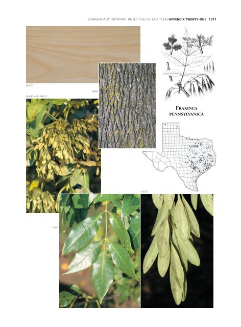 Appendices & Glossary - Botanical Research Institute of Texas