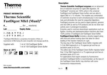 FastDigest MfeI (MunI) - Product Information - Thermo Scientific