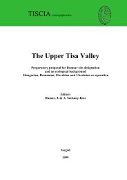 The Upper Tisa Valley. Preparatory proposal for Ramsay