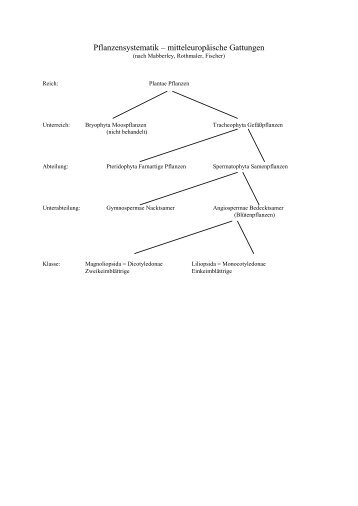 Pflanzensystematik – mitteleuropäische Gattungen